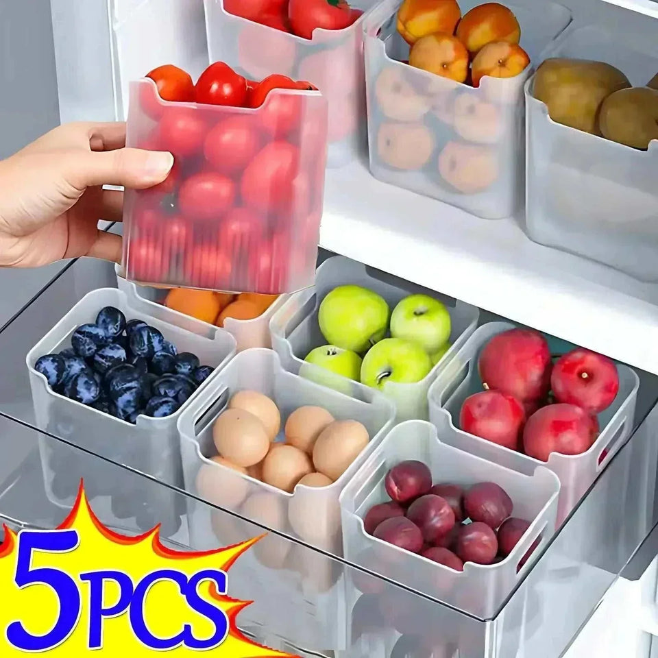 Caixas de armazenamento de geladeira  EcoChill